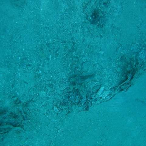 fromcameramargartagrounding 042